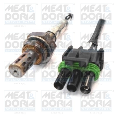 Oxygen Sensor